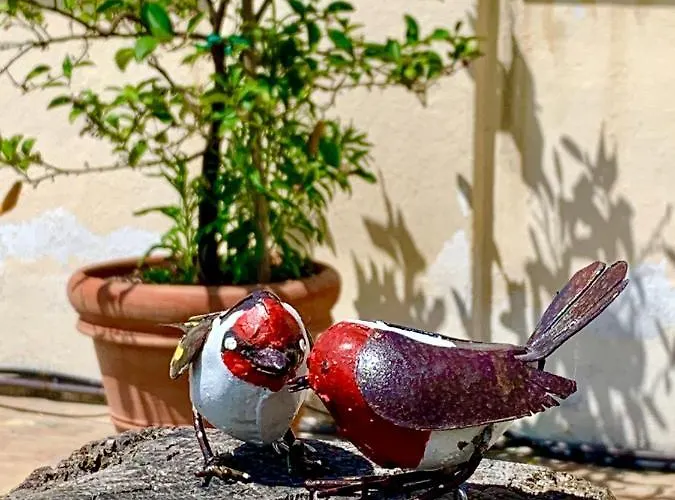 فندق مبيت وإفطار La Corte Di Ronzano
